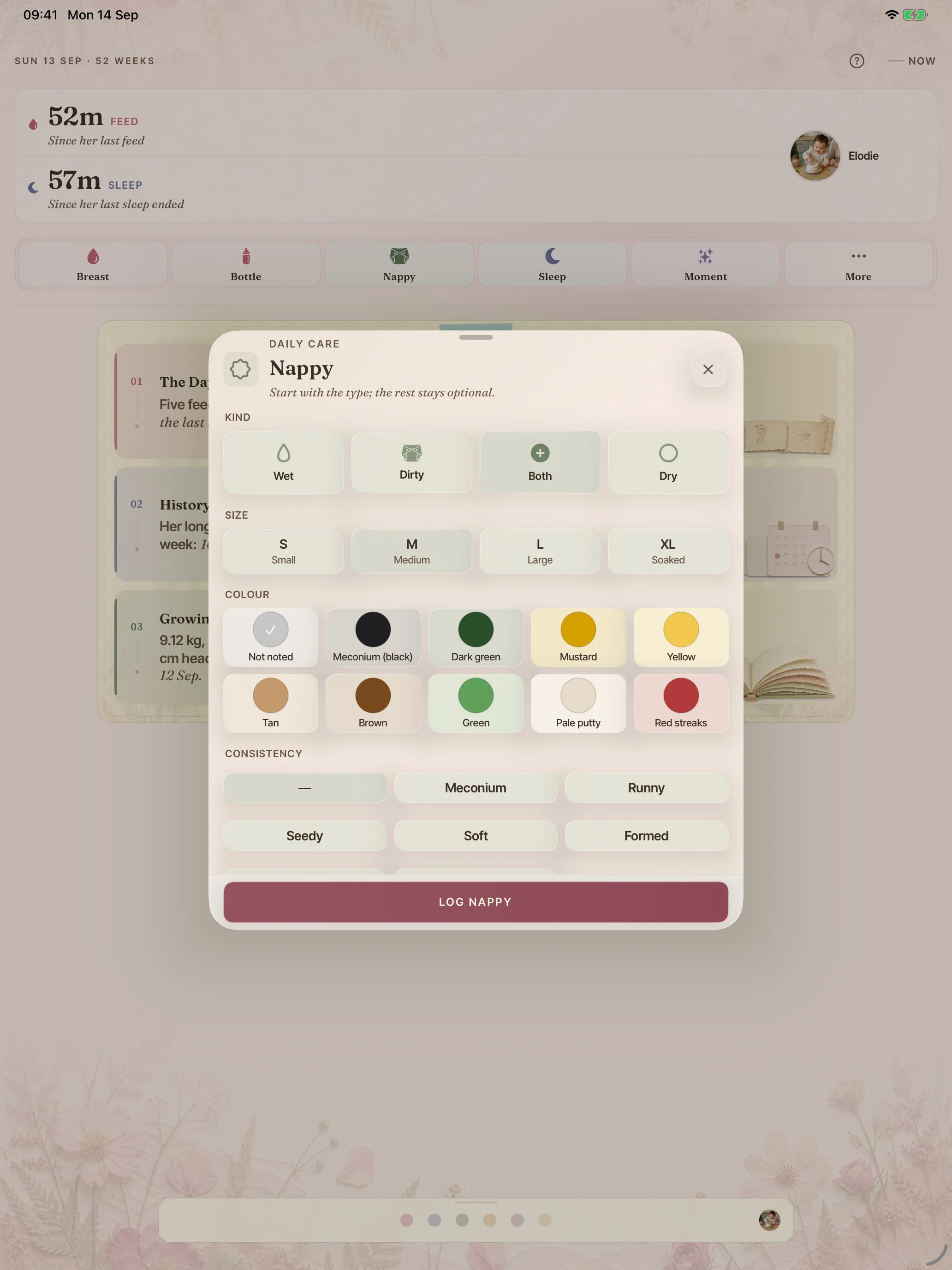 BloomBook on iPad: a nappy, in one tap