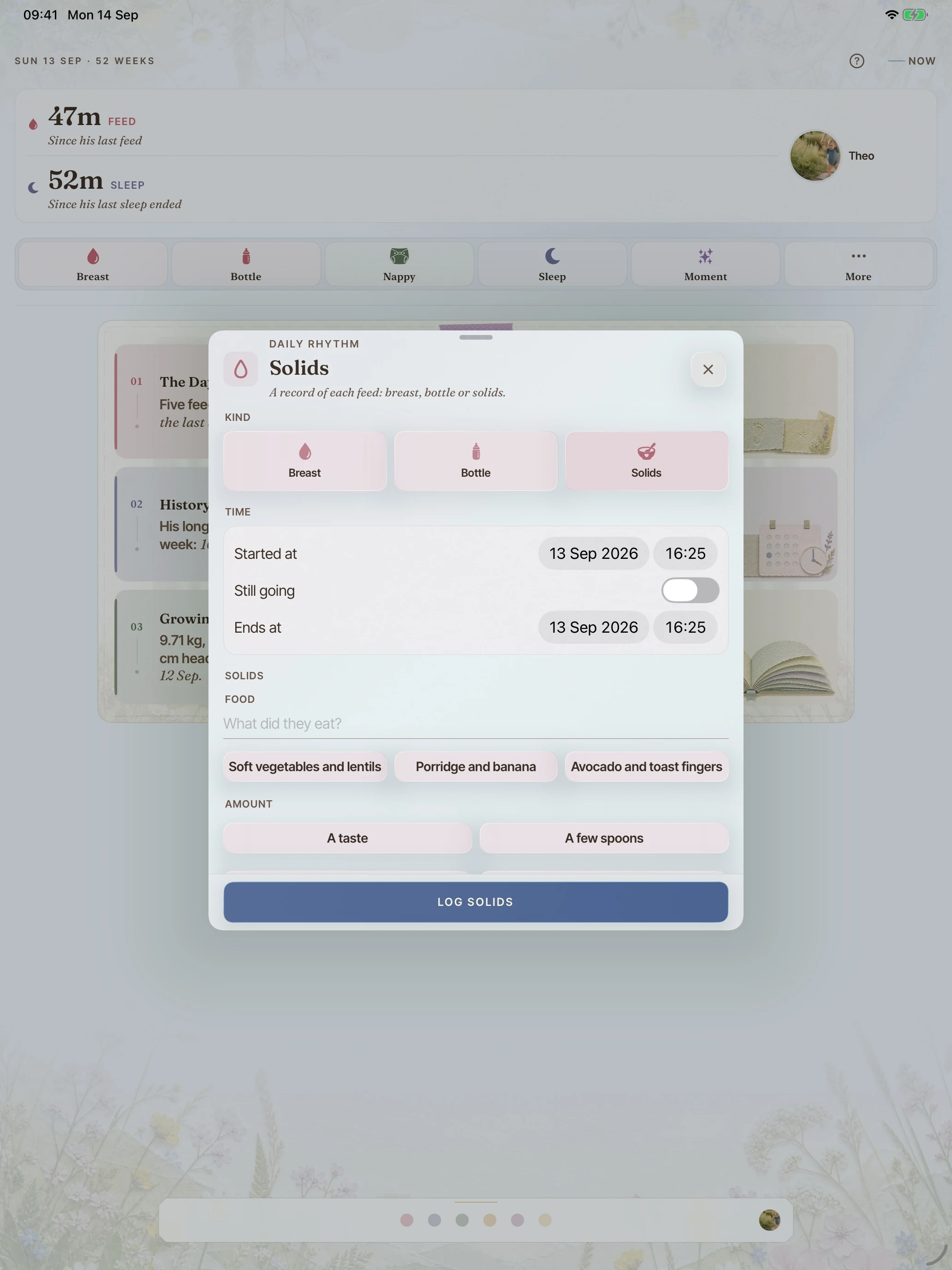 BloomBook on iPad: solids, as they come