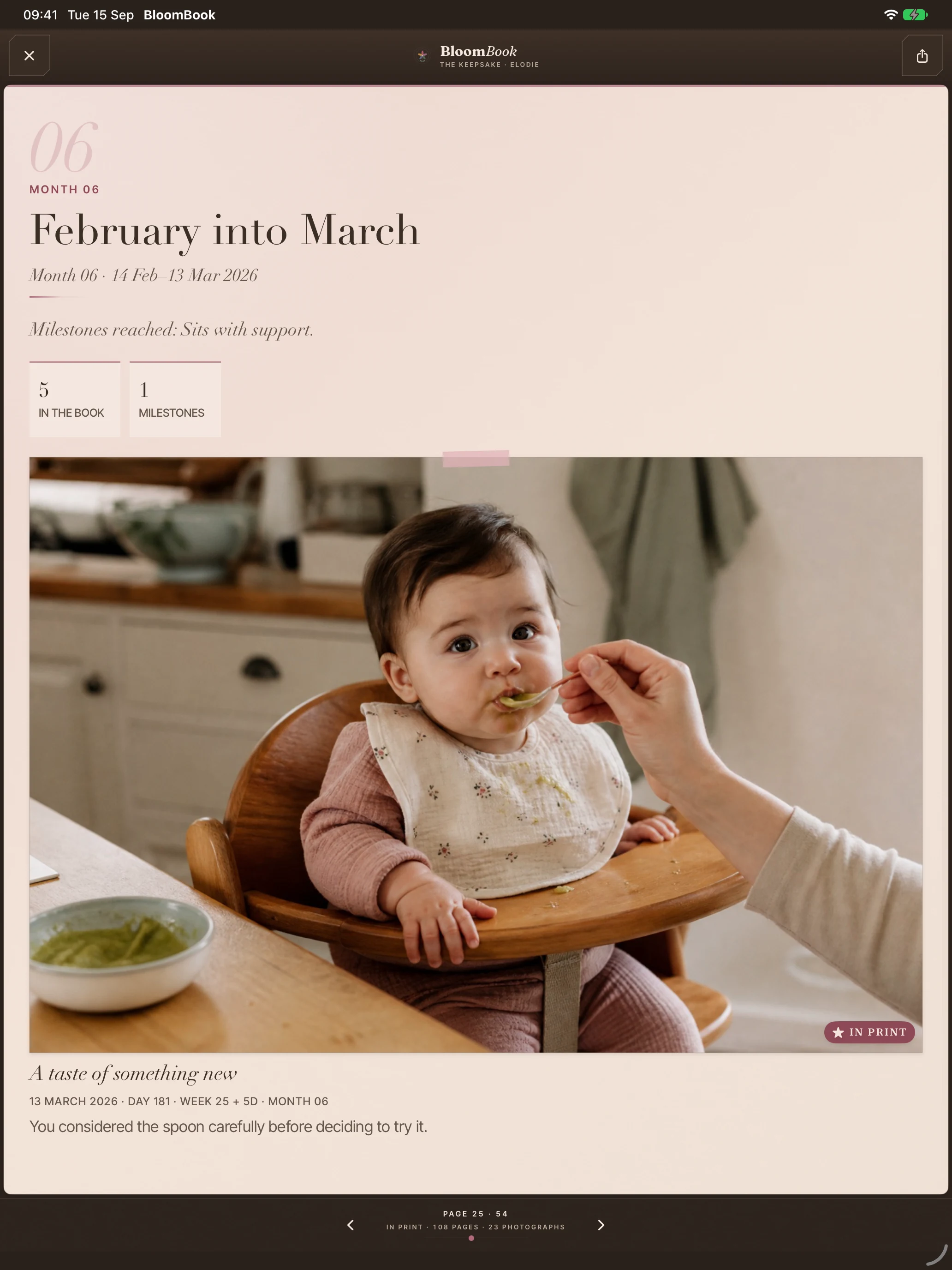 On iPad, a monthly spread in BloomBook’s keepsake reader with photographs and written memories.