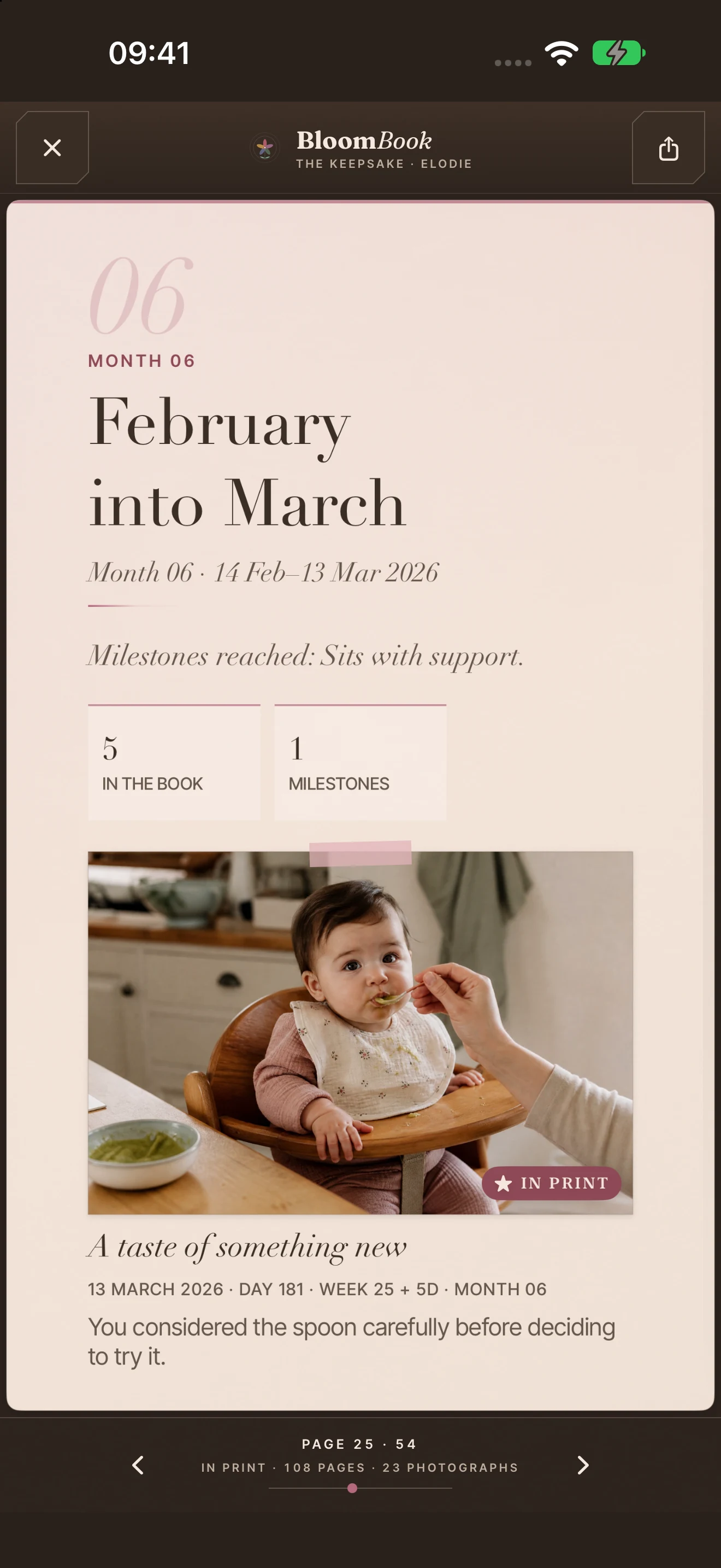 Photographs and memories arranged across a monthly spread in the keepsake reader.